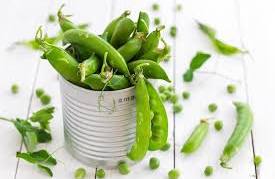قیمت خرید ویژه کنسرو نخود فرنگی 420 گرمی خوشمزه + شرایط استثنایی